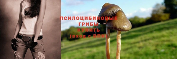 бутират Арсеньев