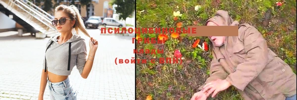 спайс Аркадак
