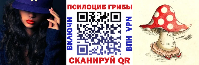 Псилоцибиновые грибы Psilocybe  Починок 
